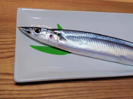 秋の味覚 秋刀魚 秋の味覚 秋刀魚 さんま,秋,魚の写真素材