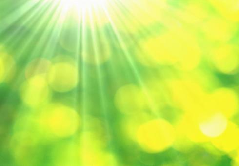 Bokeh sunlight background material, JPG