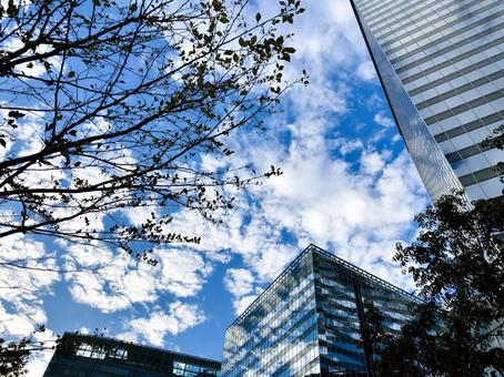 寒い朝　都会の空 ビル,空,雲の写真素材