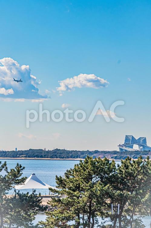東京　葛西臨海公園の風景 港,都会,きれいの写真素材
