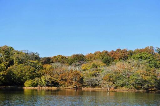 秋の映り込み　一碧湖 映り込み,反射,紅葉の写真素材