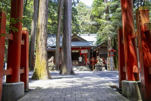Photo, tsubaki grand shrine, minegishi shrine, a shrine, 