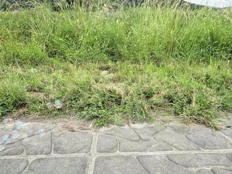 風に舞うシャボン玉たち 風に舞うシャボン玉たち シャボン玉,虹色,石畳の写真素材