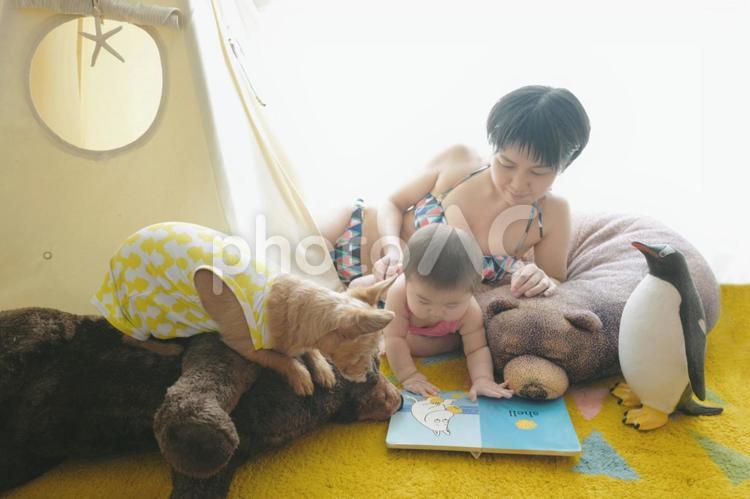 夏気分(女性、水着、子供、犬) 夏,本,絵本の写真素材