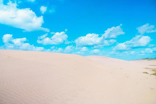 【鳥取】青空と鳥取砂丘の写真