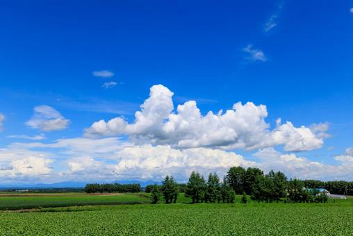 青空と雲 青空と雲 青空,雲,白い雲の写真素材