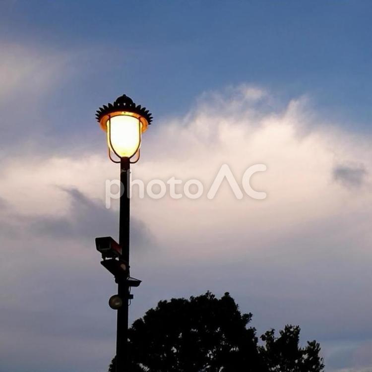 ヴェルニー公園の街灯 灯り,空,skyの写真素材