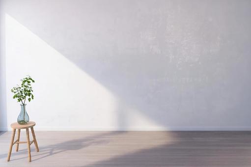 日差しと植物のある白い壁の部屋 部屋,壁,床の写真素材