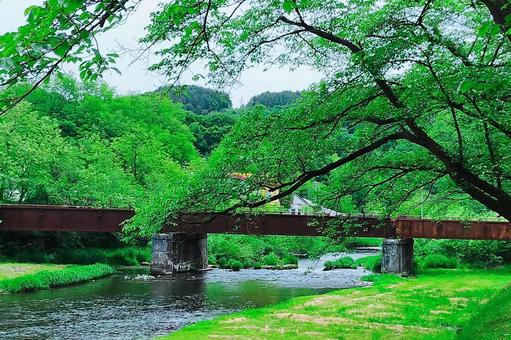 Photo, kosaka river, osaka river park, fresh green, 