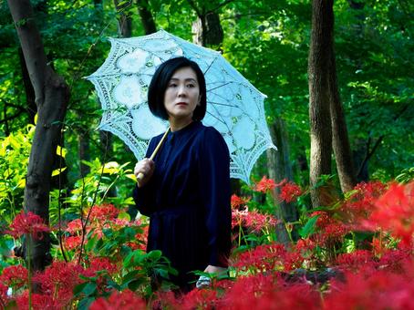 40：彼岸花を静かに眺める女性 彼岸花,ミステリアス,悲しげの写真素材