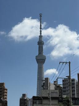 スカイツリー 東京 観光 TOKYO スカイツリー 東京 観光 TOKYOの写真
