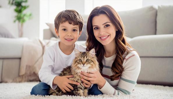 こちらを見ている子猫 こちらを見ている子猫の写真