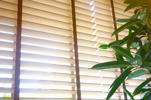 Blinds and green, JPG Blinds and green, JPG