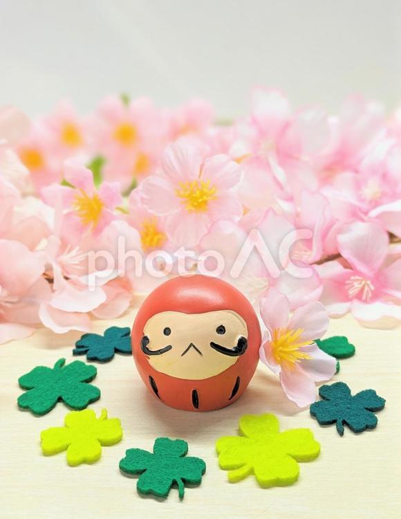 合格祈願のダルマと満開の桜＆四つ葉４ 合格祈願,桜,ダルマの写真素材