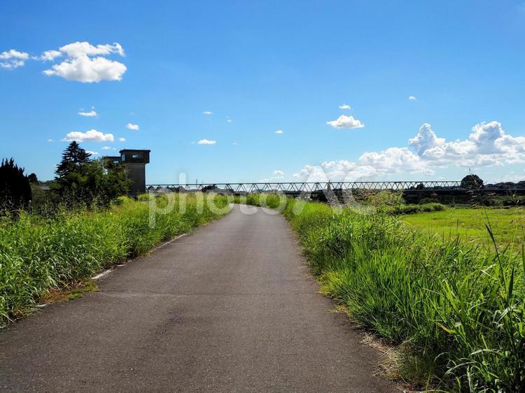夏草の散歩道・鬼怒川の土手・茨城県常総市 夏,鬼怒川,岸辺の写真素材