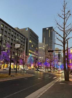イルミネーション イルミネーション,御堂筋,夕方の写真素材