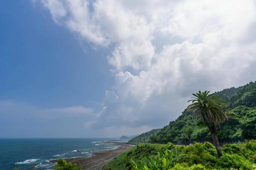 道の駅フェニックス付近の海景 海,青空,晴れの写真素材