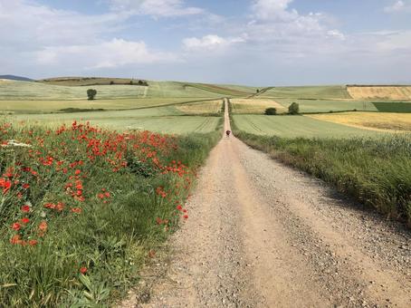 スペインの巡礼の道 スペインの巡礼の道の写真
