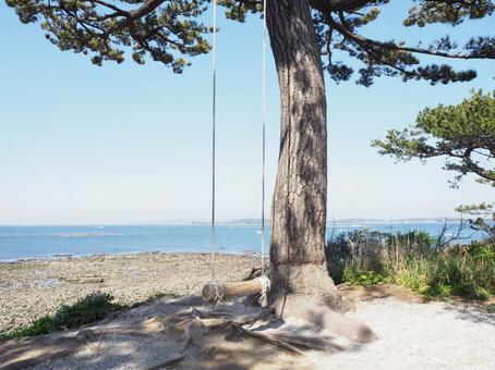 日間賀島の木とブランコ 木,ブランコ,海の写真素材