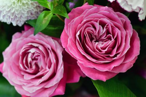 ピンクのバラ バラ,ピンク,フラワーアレンジメントの写真素材