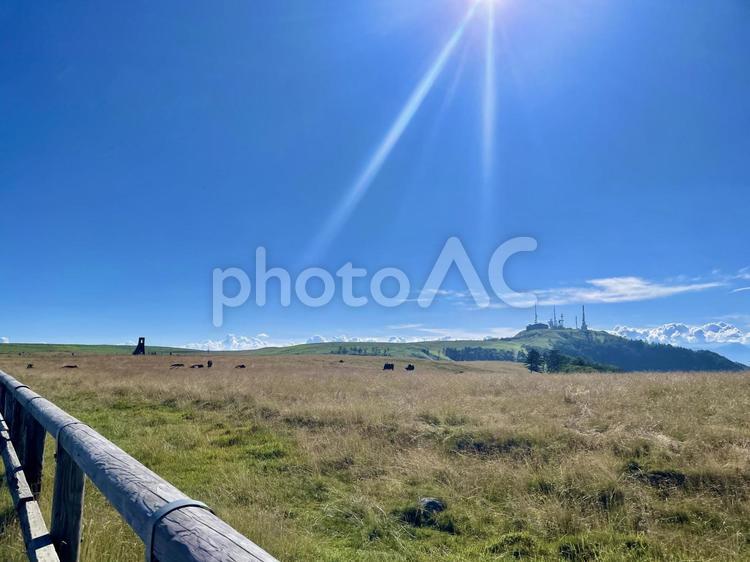 夏の美ヶ原、広大な草原と空 夏の美ヶ原、広大な草原と空 長野県,美ヶ原高原,夏の写真素材