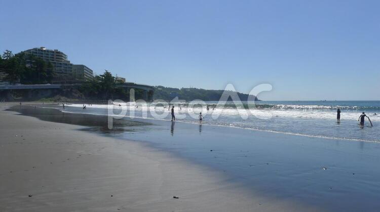 夏のビーチ、黒砂（逆光気味） 砂浜,海水浴,海開きの写真素材