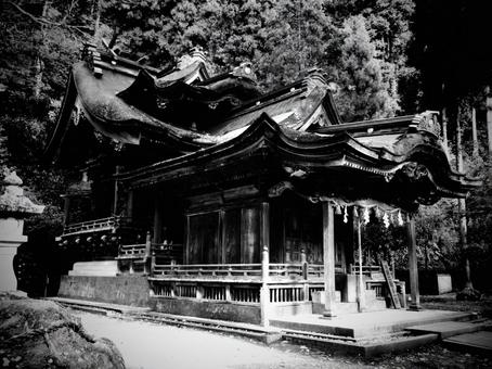 福井県-大瀧神社・岡太神社-本拝殿-白黒 大瀧神社,岡太神社,神社の写真素材