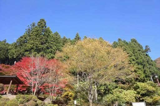 栃木県鹿沼市にて、風景 栃木県鹿沼市にて、風景の写真
