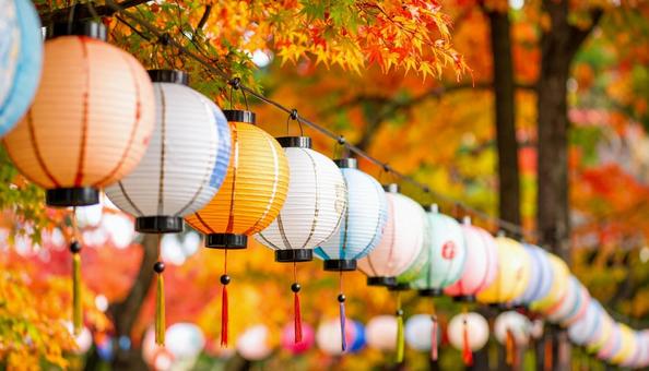 カラフルなたくさんの提灯 カラフルなたくさんの提灯の写真
