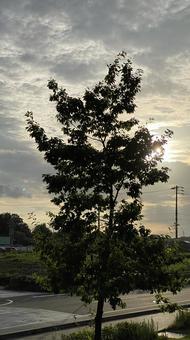 夕方の空 夕方の空の写真