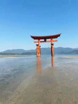 安芸の宮島 安芸の宮島,広島,鳥居の写真素材