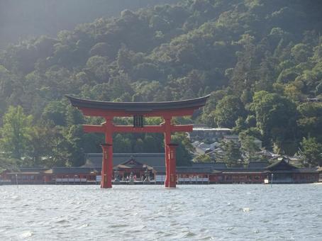 厳島神社 厳島神社,鳥居,宮島の写真素材