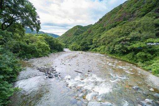 木々の間を流れる川 木々の間を流れる川の写真