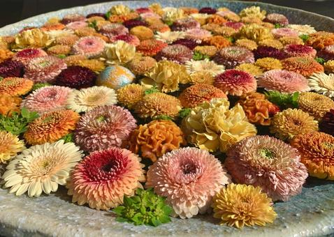 色鮮やかな花手水41 花手水,はなちょうず,手水舎の写真素材