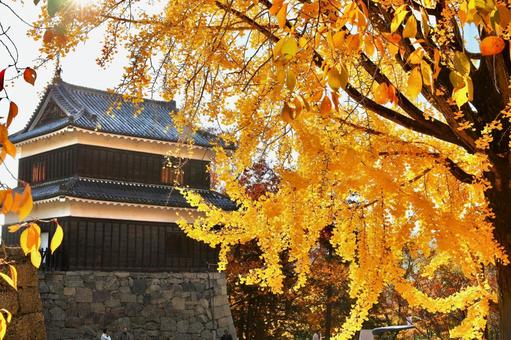 紅葉　長野県　上田城 紅葉,長野県,上田城の写真素材