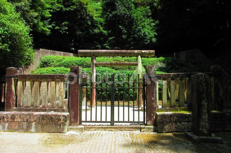 大阪府-観心寺-後村上天皇桧尾陵 観心寺,寺,檜尾山の写真素材