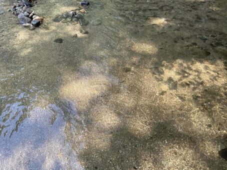 澄んだ水の川 澄んだ水の川の写真