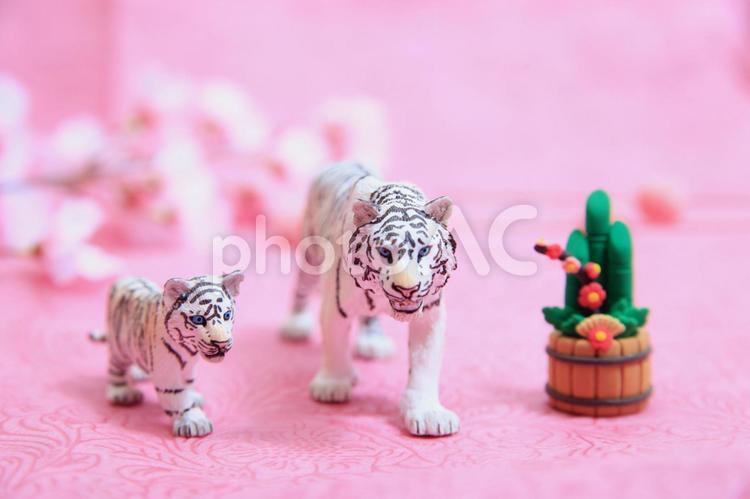 シュライヒフィギュア　虎の親子と門松 虎,寅,フィギュアの写真素材