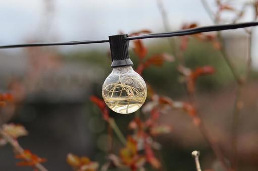 秋の余韻、冬の気配 季節の変化,秋,冬の写真素材