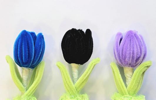 モールチューリップ BBP チューリップ,花,フラワーの写真素材