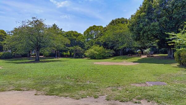 緑豊かな公園の広場とベンチ（横） 公園,広場,芝生の写真素材