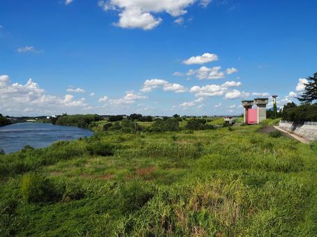 夏の鬼怒川河川敷・緑の夏草・茨城県常総市 夏の鬼怒川河川敷・緑の夏草・茨城県常総市の写真