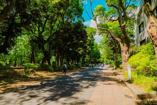 【東京】上野国立博物館 2025 【東京】上野国立博物館 2025 上野,国立博物館,東京の写真素材