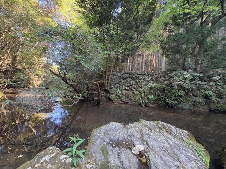 森の川辺と岩 森の川辺と岩の写真