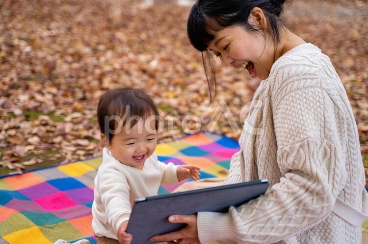 秋の公園でママとタブレットPCで遊ぶ赤ちゃん ピクニック,アウトドア,動画の写真素材