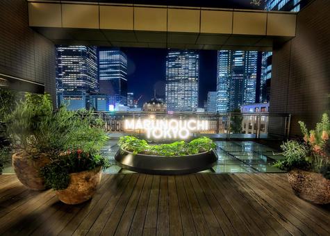 都会のオアシスとライトアップされた東京駅 都会のオアシスとライトアップされた東京駅 夜,夜景,風景の写真素材