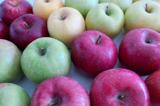 りんごの種類 林檎,果物,アップルの写真素材
