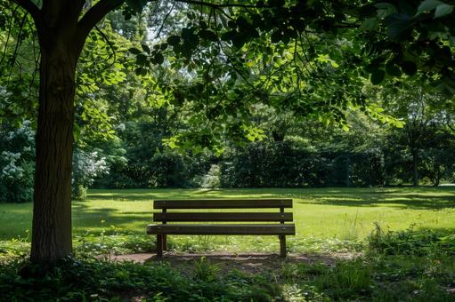 木陰のベンチと夏の公園風景 木陰のベンチと夏の公園風景の写真