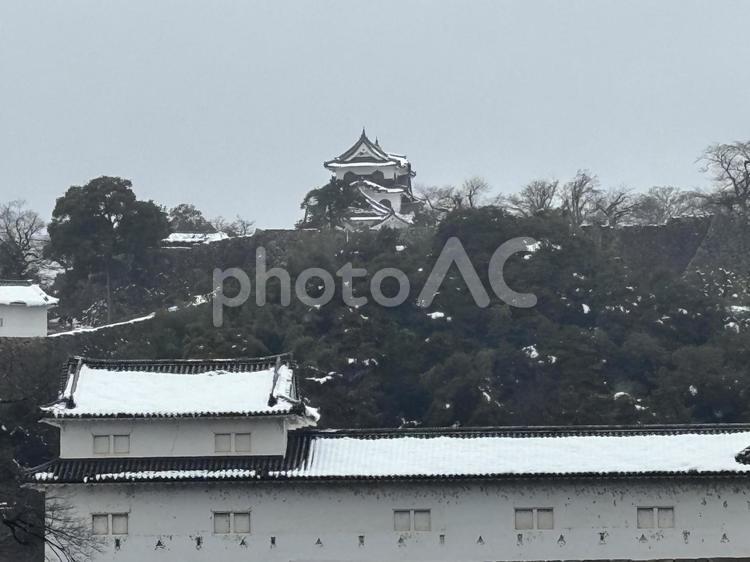 彦根城27 彦根城,城,国宝の写真素材