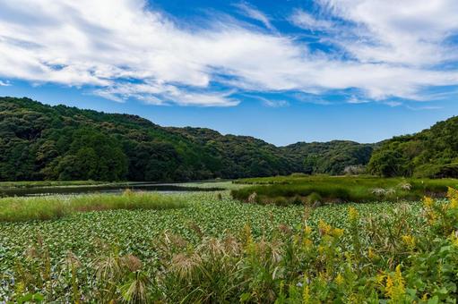 静岡県磐田市の鶴ケ池 10月秋の池の景色 静岡県磐田市の鶴ケ池 10月秋の池の景色 日本,静岡県,磐田市の写真素材